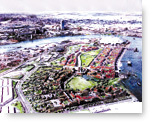 The Millennium Village